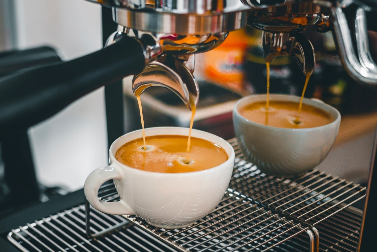 Fiorenzato F64 EVO Sense Dart- T Grinder Overview – Pro Coffee Gear