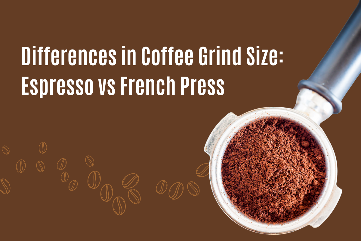 Differences in Coffee Grind Size: Espresso vs French Press