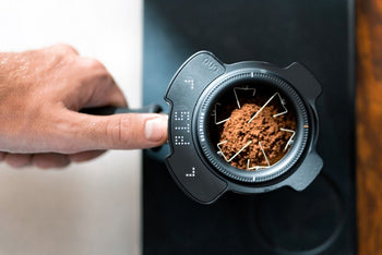 The Complete Guide to Coffee Pressure Brewers: Taste, Extraction, and Control