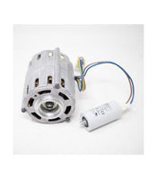Motor Pump V115 (1GR)